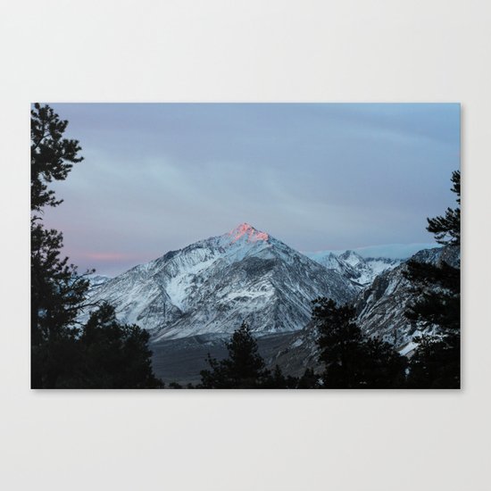 Untitled Canvas Print