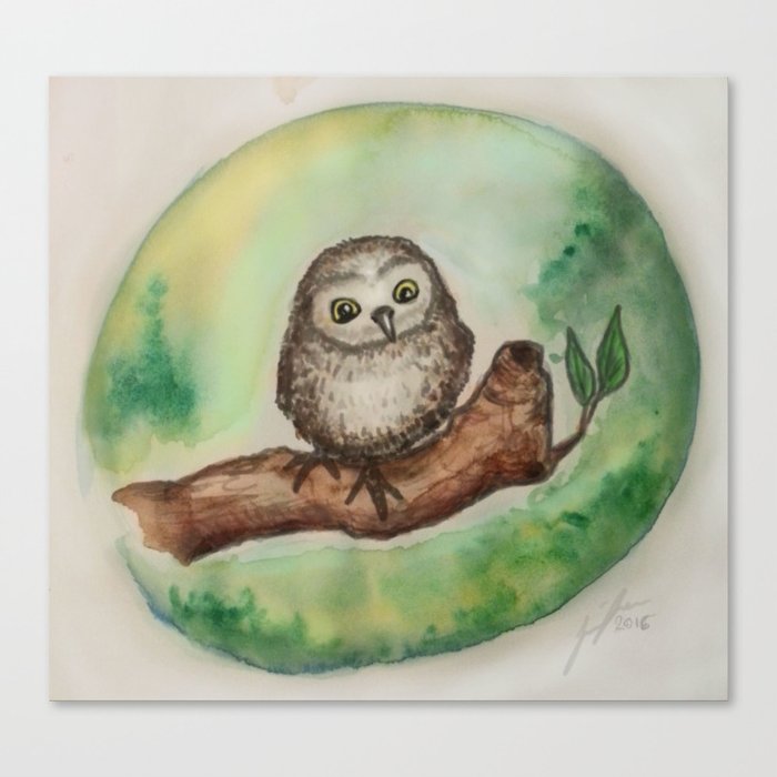 Baby Owl Canvas Print