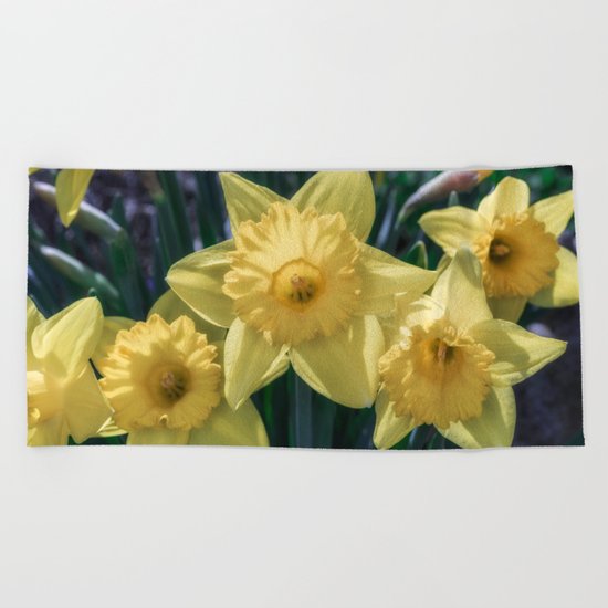 Spring time Daffodils Beach Towel