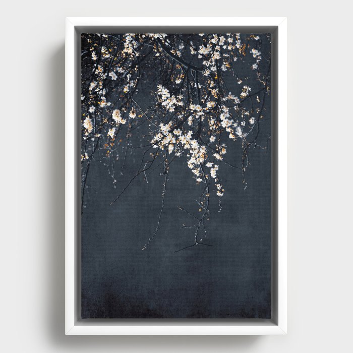 Framed Canvas