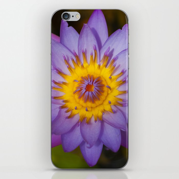 Flower iPhone Skin