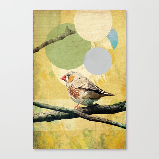 Bird Song Canvas Print
