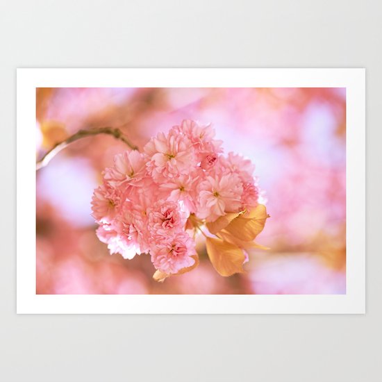 Sakura - Cherryblossom - Cherry blossom - Pink flowers 2 Art Print