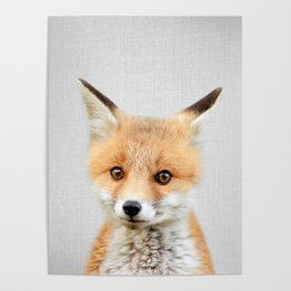 Baby Fox - Colorful Poster
