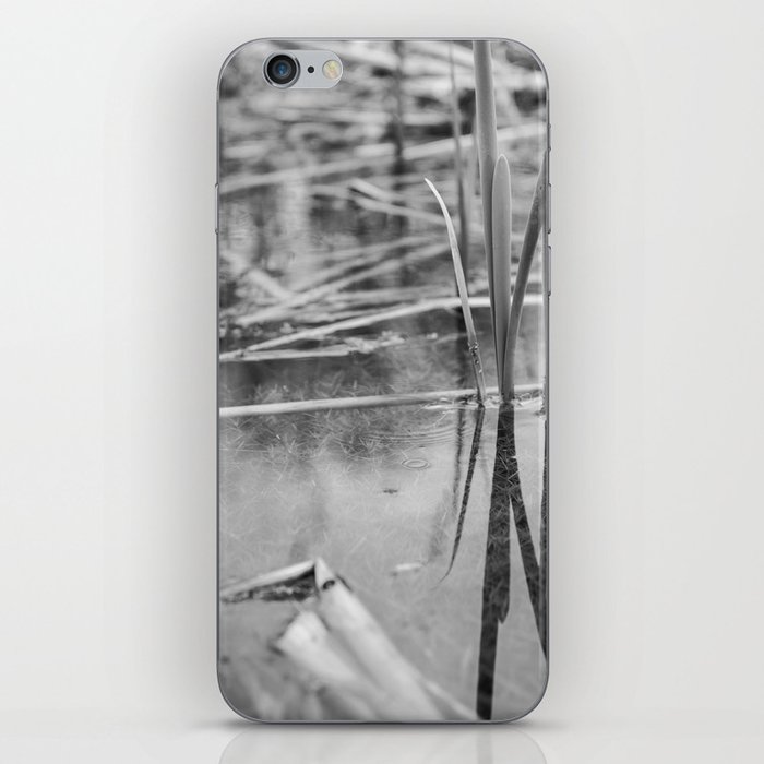 Reeds,reflection and release iPhone Skin