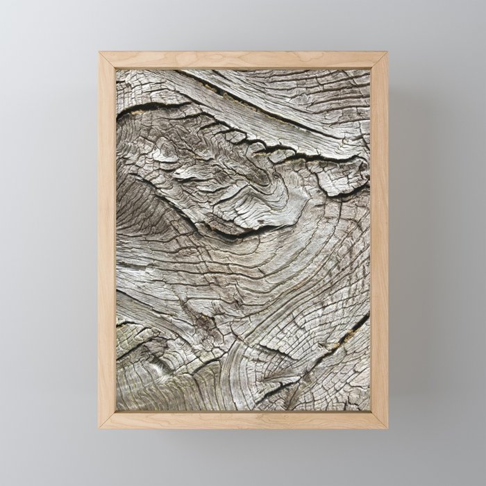 Old wood grain texture. Framed Mini Art Print