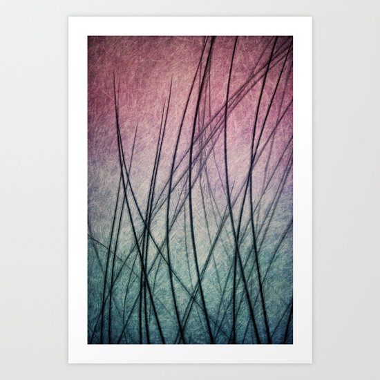 Feathered IV Art Print