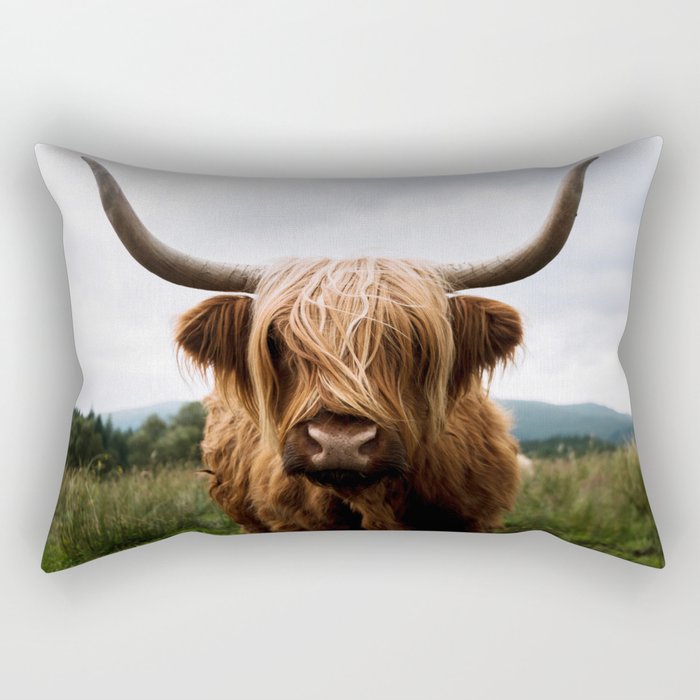 highland cattle pillow