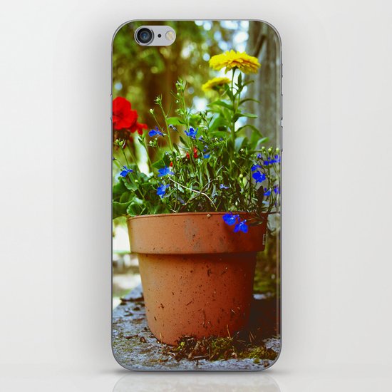 Spring details iPhone & iPod Skin