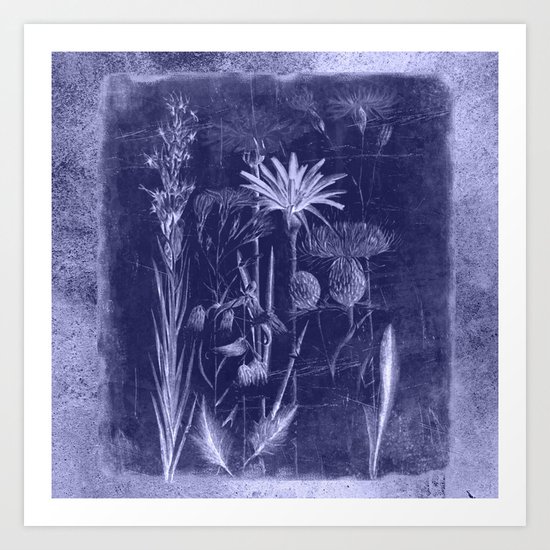 floral cyanotype Art Print