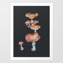 Mushroom Fungi Botanical Illustration Painting Original Art Print Art Print