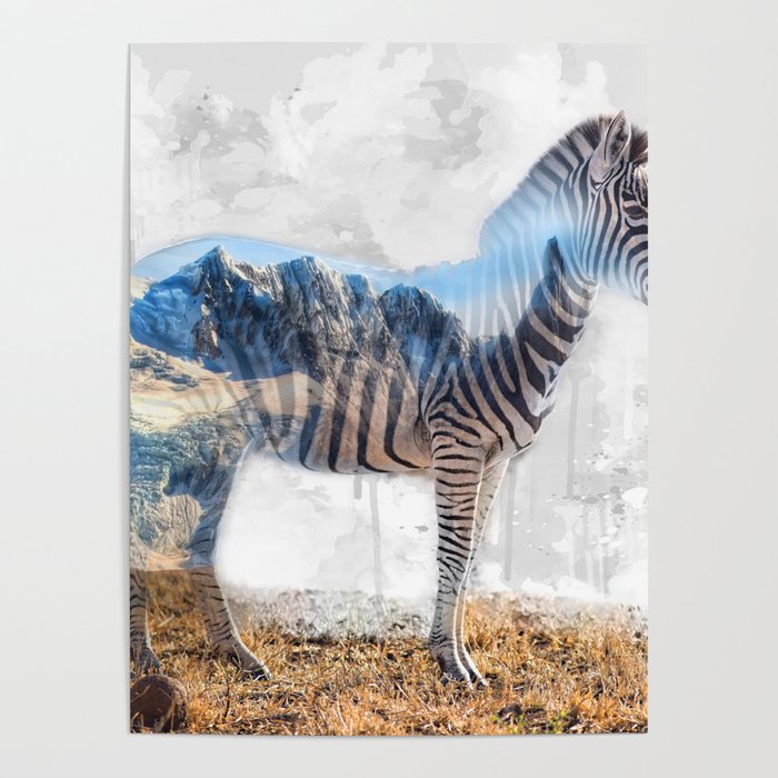 Zebra, wild art good for a many reasons as a gift to important persons Poster