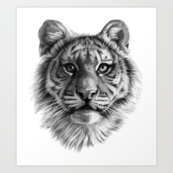 Tiger Cub SK106 Art Print