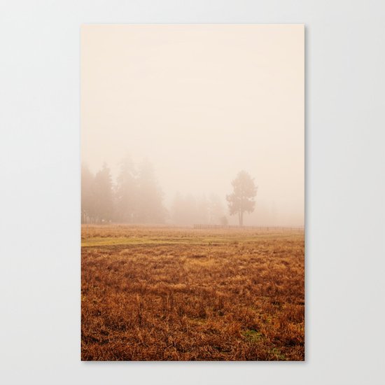 Morning Fog Canvas Print