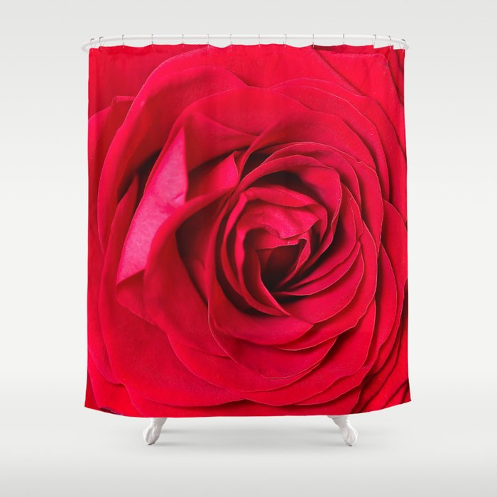 Red Rose Close-up #decor #society6 #buyart Shower Curtain