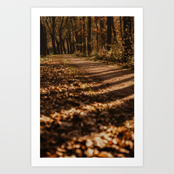 Autumn Forest Netherlands | Fine Art Travel Photography Art Print