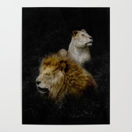 Pride - Lioness and Lion Couple Goals Poster
