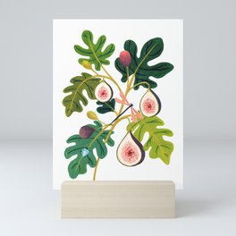Summer Figs Mini Art Print