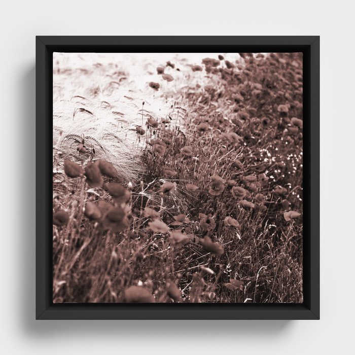 flowering field reddened earth tone botanical art washed out effect aesthetic photography Framed Canvas | Photography, Flowering-field, Field, Flowering, Floral, Flowers, Grasses, Reddened-earth-tone, Reddened, Earth-tone