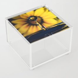 Yellow Flower in Water Drop  Acrylic Box