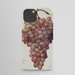 Vintage bunch of red grapes illustration. iPhone Case