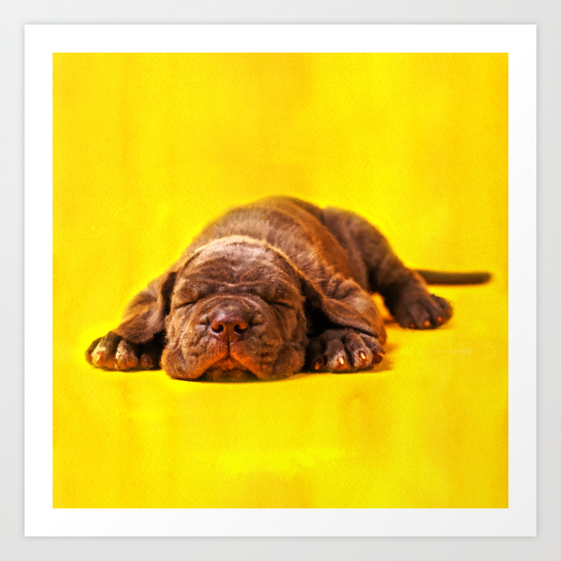 Cane Corso Italian Mastiff Puppy Art Print By K9printart Society6