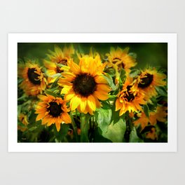 sunflowers Art Print