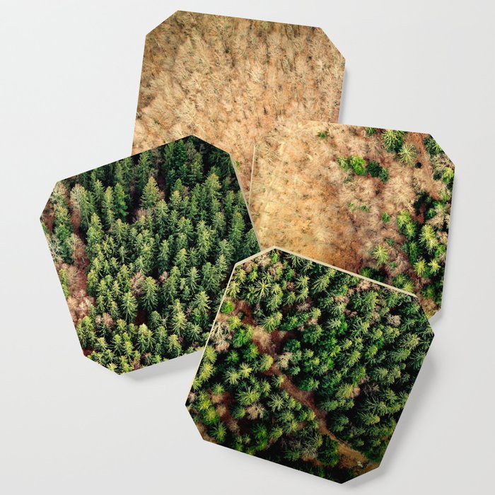 Aerial view of spruce forest landscape Coaster