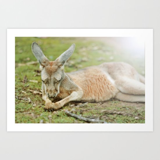 Roo Art Print
