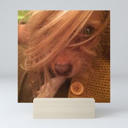 FARRAH MAiSEY (shelter pup) Mini Art Print