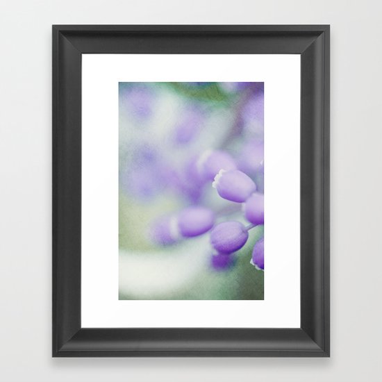 Muscari Rhapsody Framed Art Print