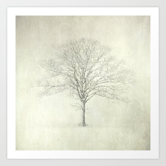 Winter Tree, Norfolk Art Print