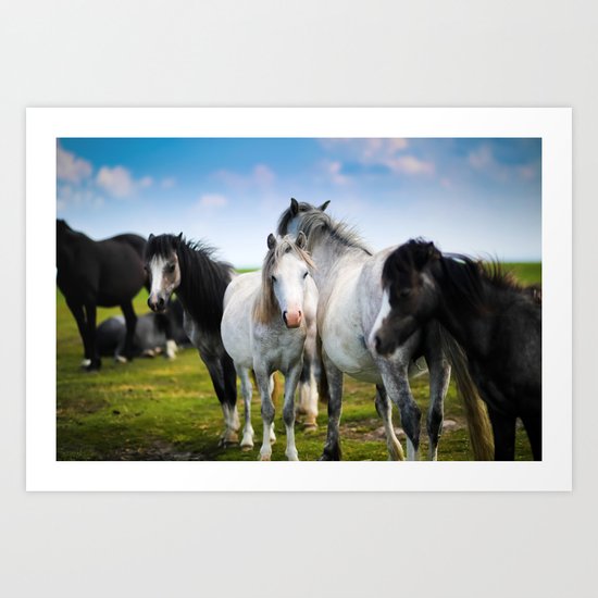 Horses Horses 4 Art Print