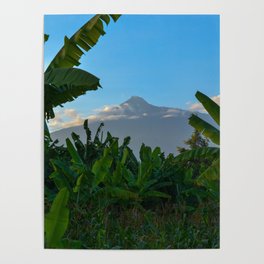 South Africa Photography - Dense Jungle In Front Of A Big Mountain Poster
