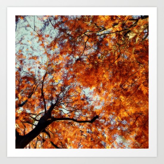 Autumn Riot II Art Print