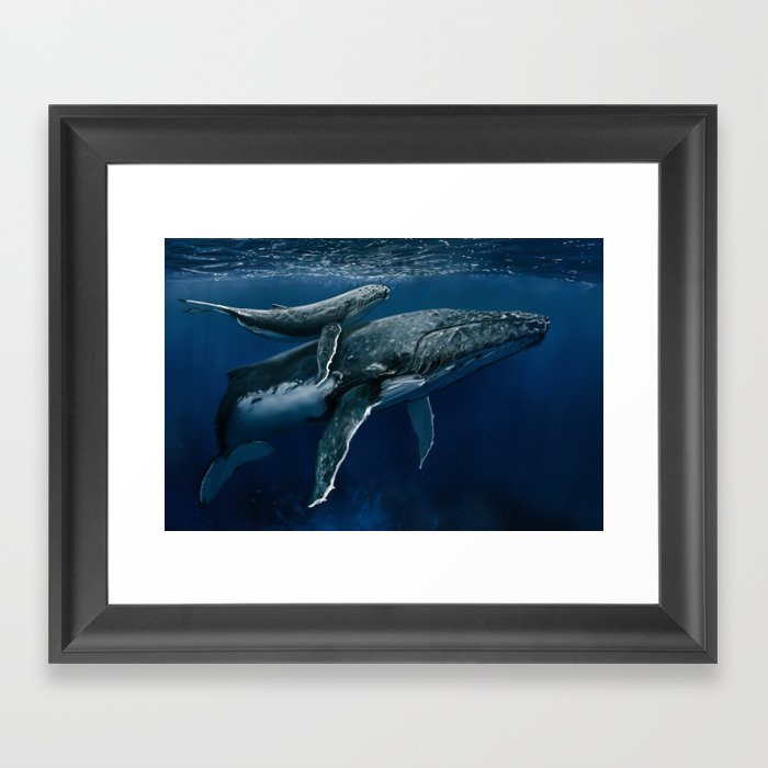 Humpback Whale Mother & Calf Framed Art Print