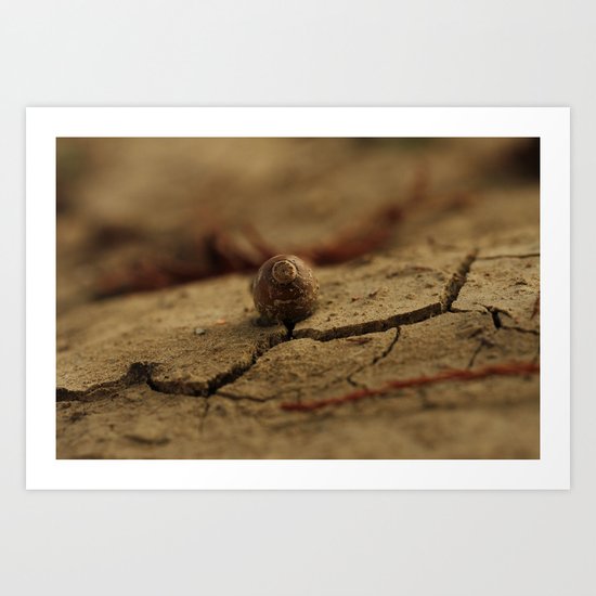 Drought, and life Art Print