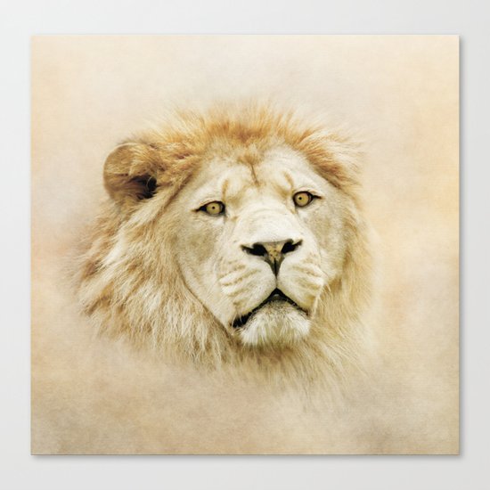 Lion Canvas Print