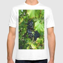 Grapes in the Sunshine T-shirt