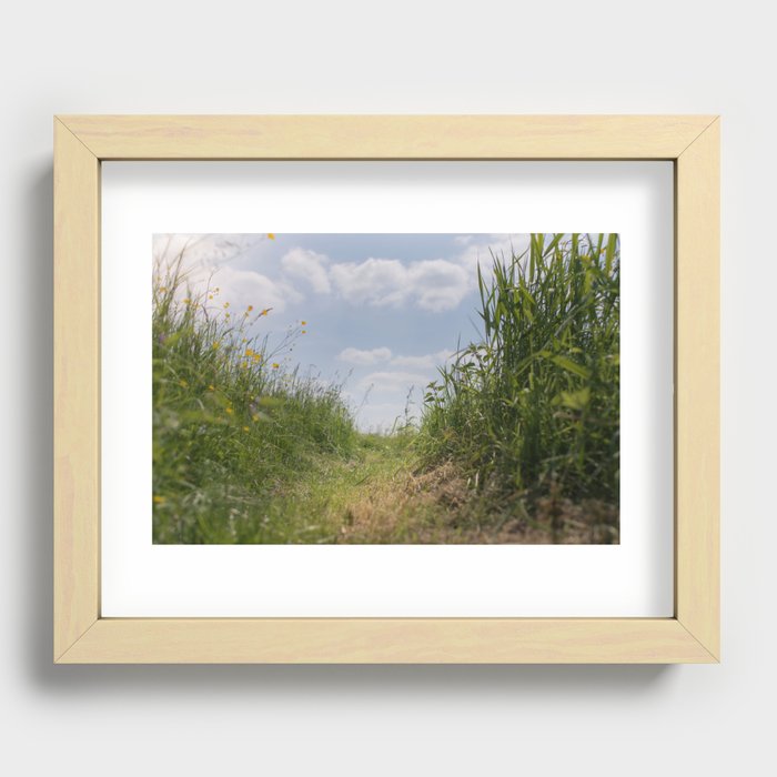 Buttercups and Blue Sky | Blooming Buttercups along a field road | Green Grasses under the Summer Sun Recessed Framed Print