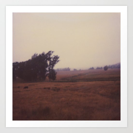 Sonoma Trees, Polaroid 600 Art Print