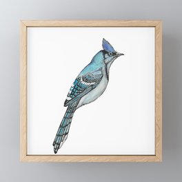 Blue Jay Framed Mini Art Print