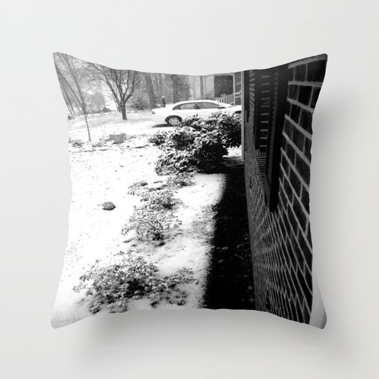 Winter Wonder Throw Pillow