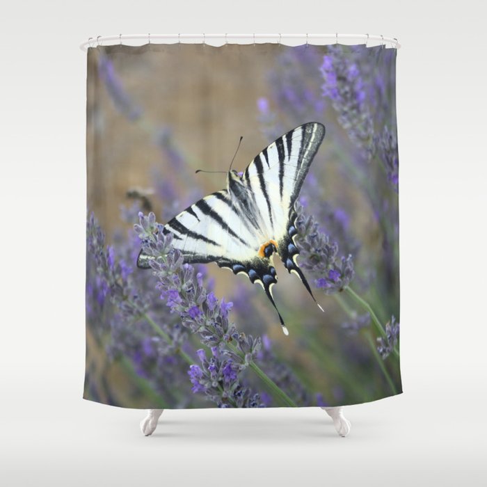 Lavender Flowers And A Beautiful Butterfly Photograph Shower Curtain