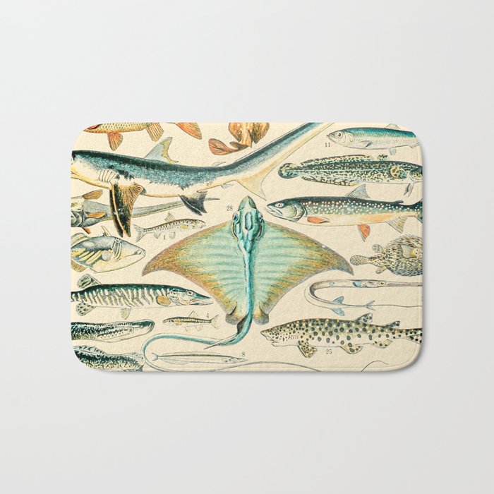 Vintage Fish Diagram // Poissons II by Adolphe Millot XL 19th Century  Science Textbook Artwork Bath Mat by Public Artography