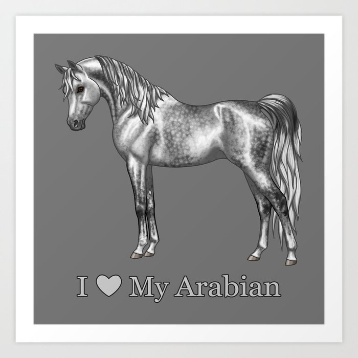 Dapple Gray Horse I Love My Arabian Art Print by Crista S. Forest