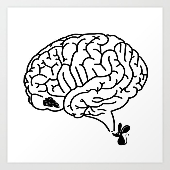 Рисунок мозга легко. Мозг Лабиринт. Мозги Лабиринт. Лабиринт в виде мозга. Мозг Лабиринт вектор.