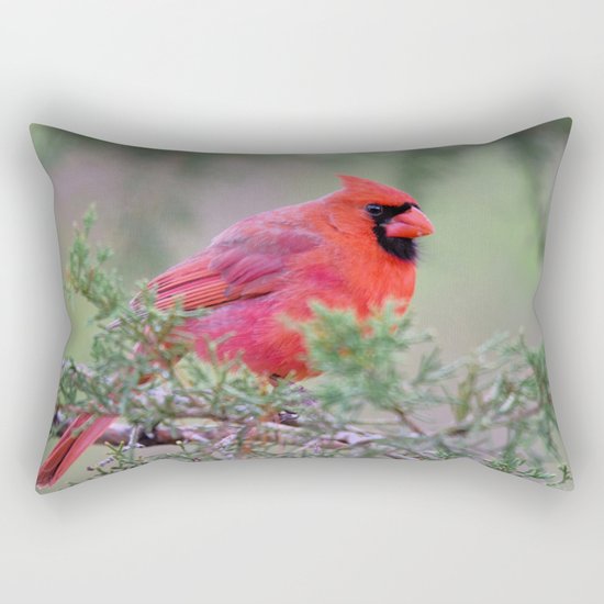 Spring Cardinal Rectangular Pillow