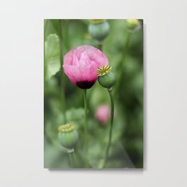 I will wait for you Metal Print
