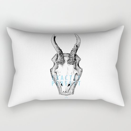 Exactly Perfect Rectangular Pillow